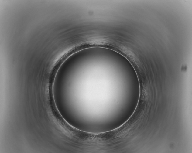 X0000093740535200710231213