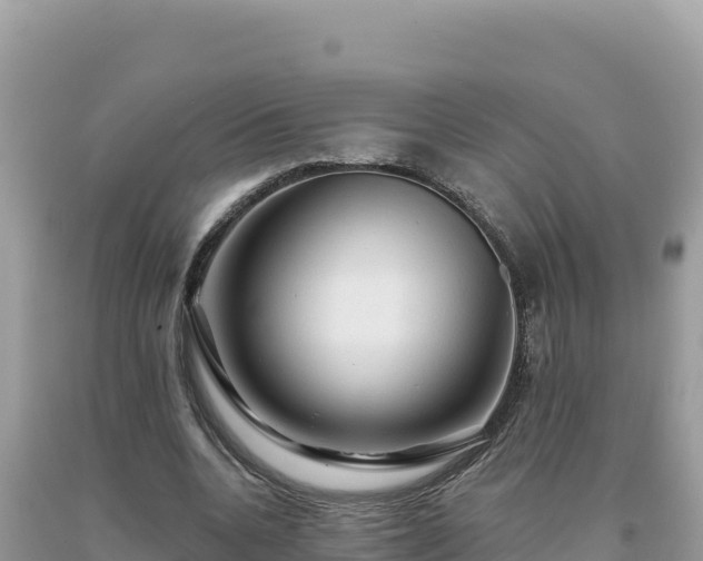 X0000093740536200710231213