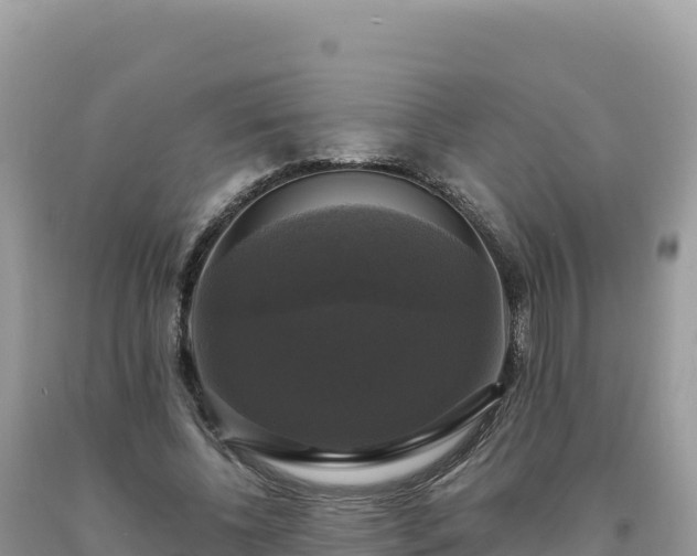 X0000093740540200710231213