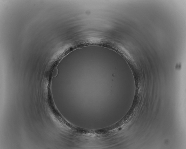 X0000093740542200710231213