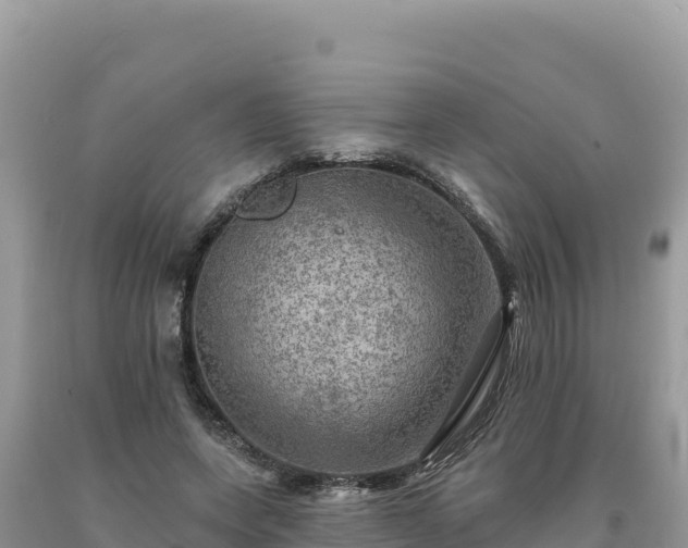 X0000093740543200710231213