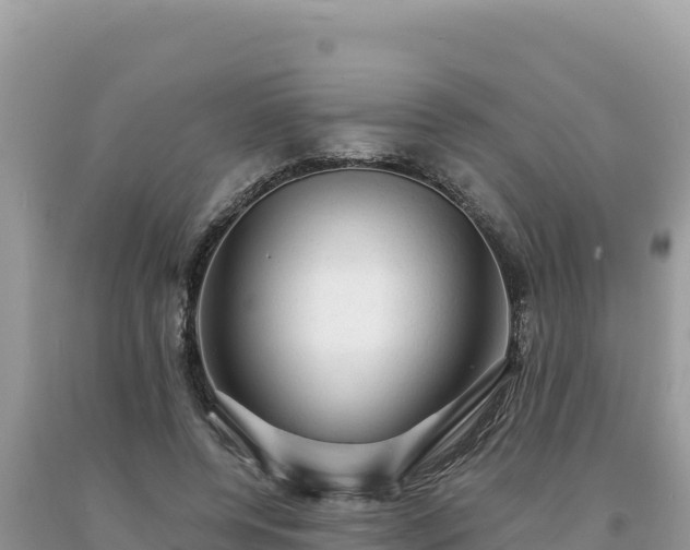 X0000093740544200710231213