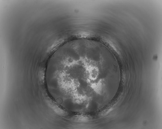 X0000093740545200710231213