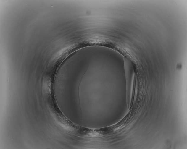 X0000093740547200710231213