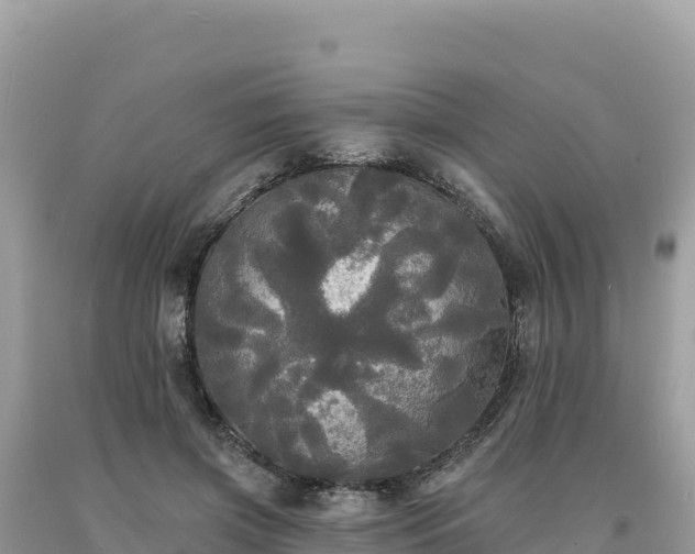 X0000093740549200710231213