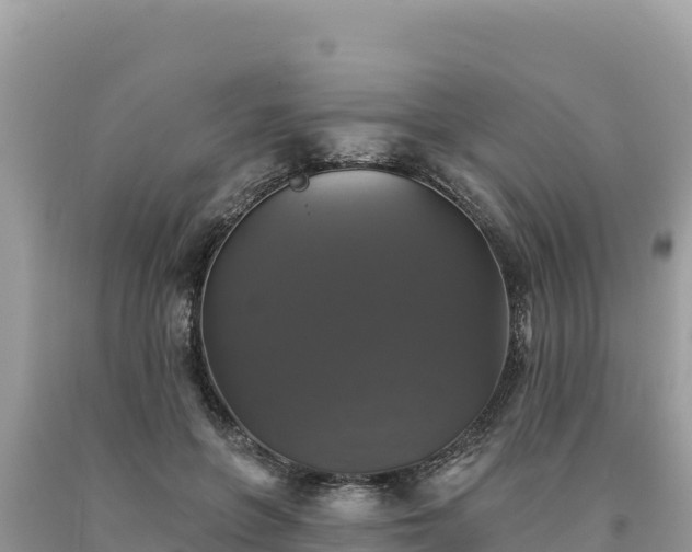 X0000093740551200710231214