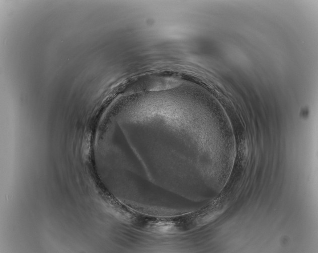 X0000093740554200710231214