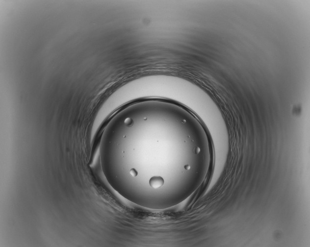 X0000093740556200710231214