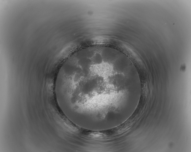 X0000093740557200710231214