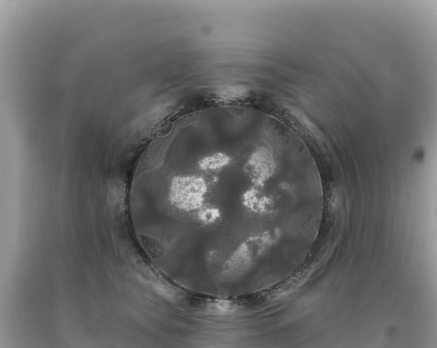 X0000093740565200710231214