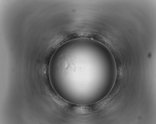 X0000093740567200710231214