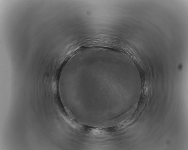 X0000093740568200710231214