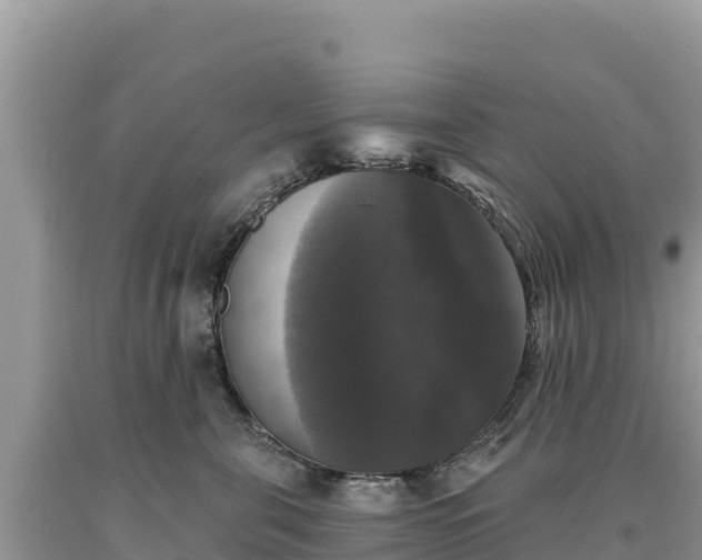 X0000093740571200710231214