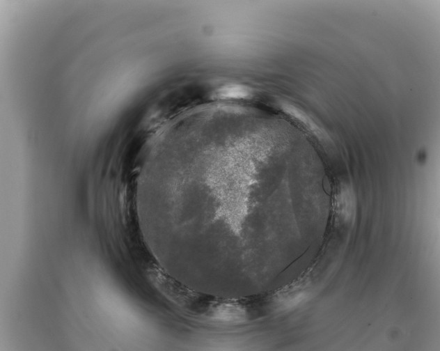 X0000093740572200710231214