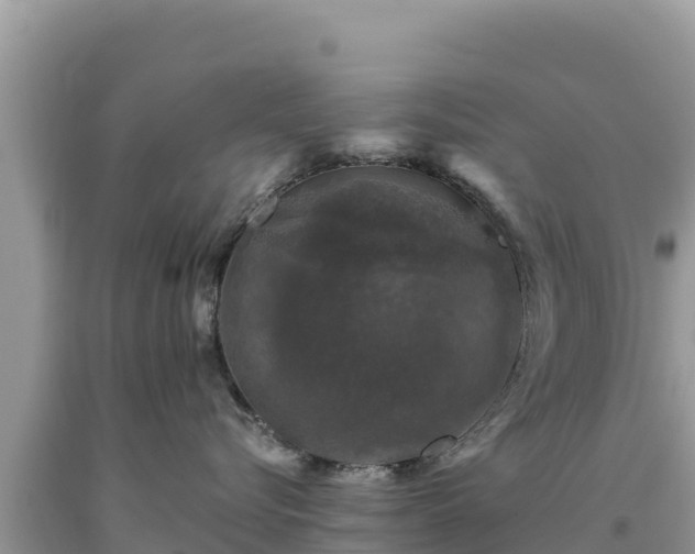 X0000093740576200710231214