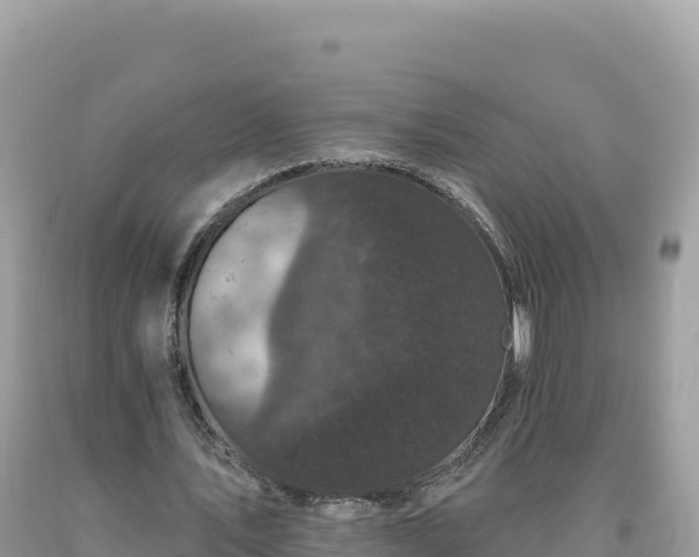 X0000093740579200710231213