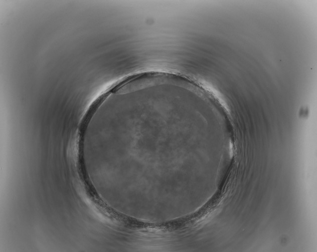 X0000093740580200710231213