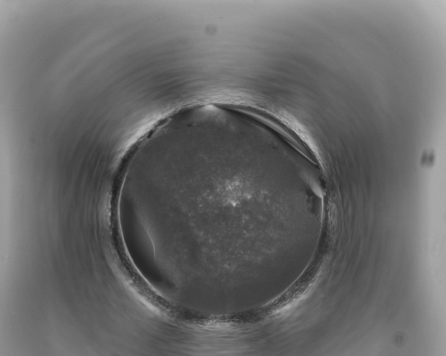 X0000093740581200710231213