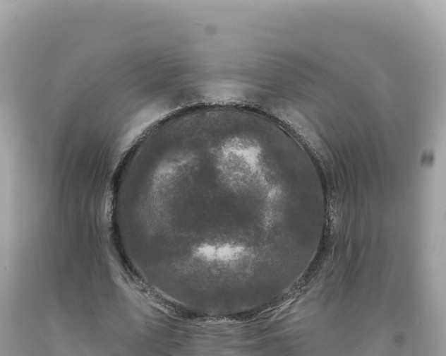 X0000093740583200710231213