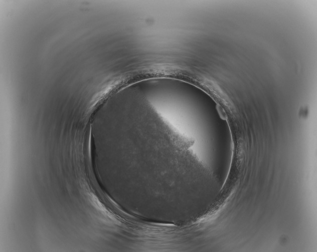 X0000093740585200710231213