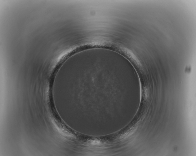 X0000093740588200710231213