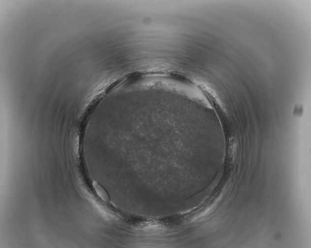 X0000093740589200710231213