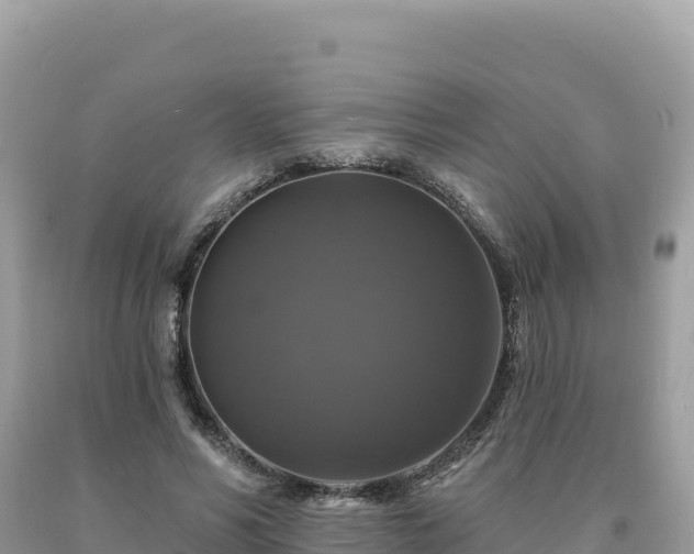 X0000093740590200710231213