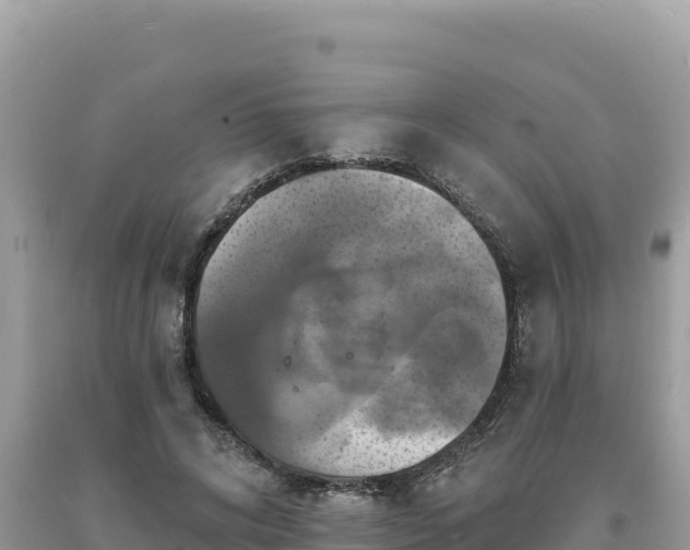 X0000093740592200710231213
