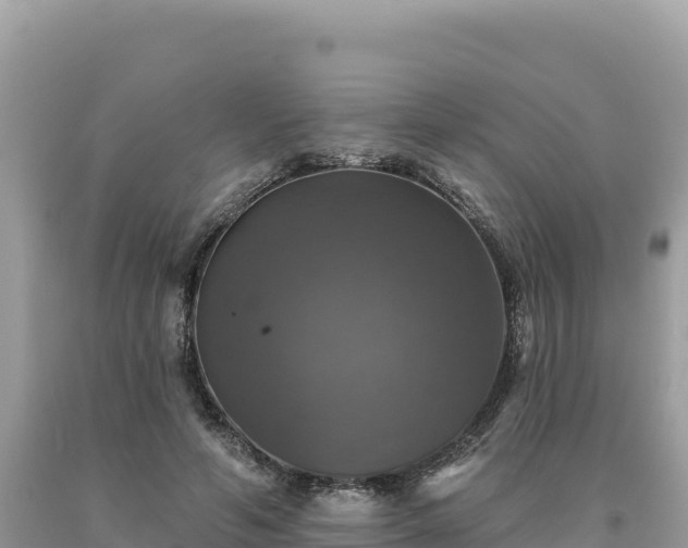 X0000093740594200710231213