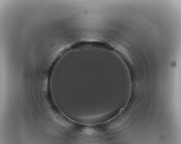 X0000093740596200710231213