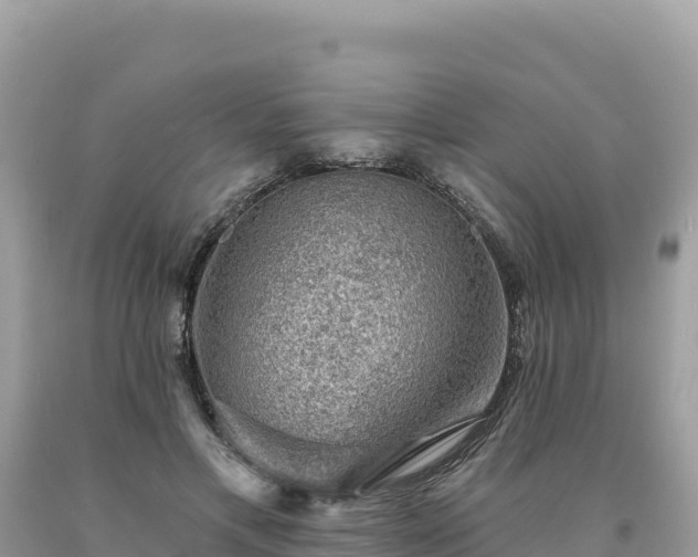 X0000093740597200710231213