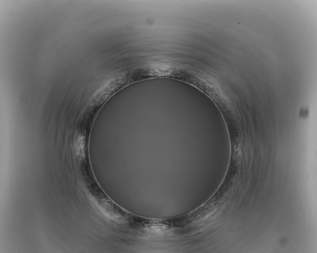 X0000093740598200710231213