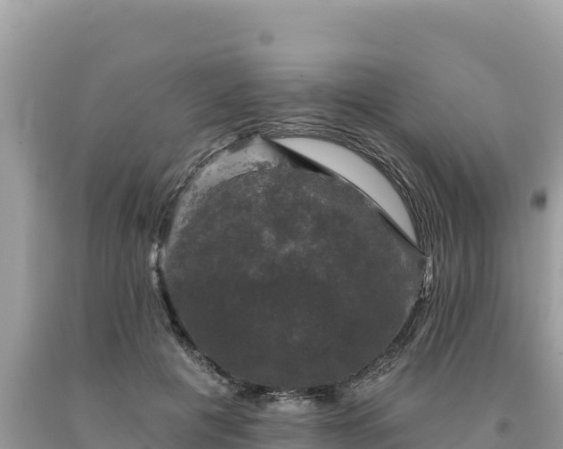 X0000093740601200710231213