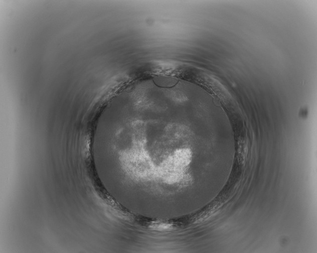 X0000093740602200710231213