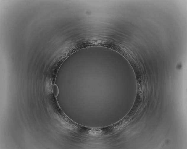 X0000093740606200710231213