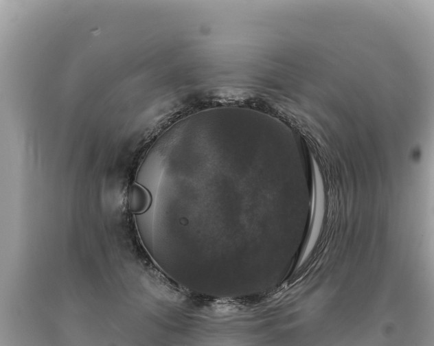 X0000093740608200710231213