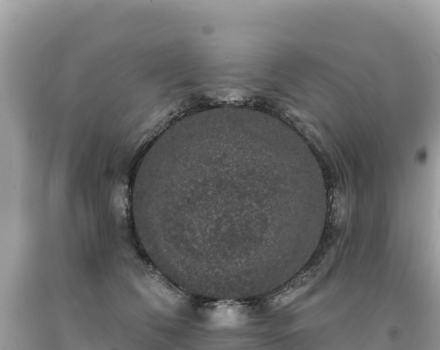 X0000093740612200710231213