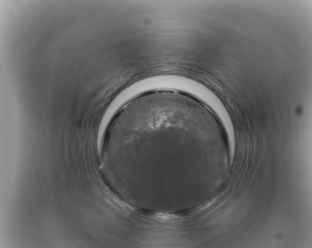 X0000093740617200710231212