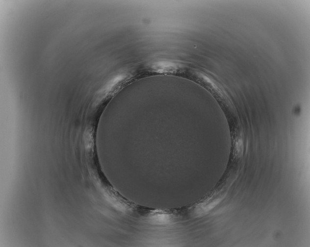X0000093740620200710231212