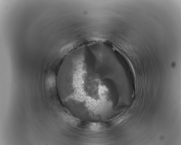 X0000093740623200710231212