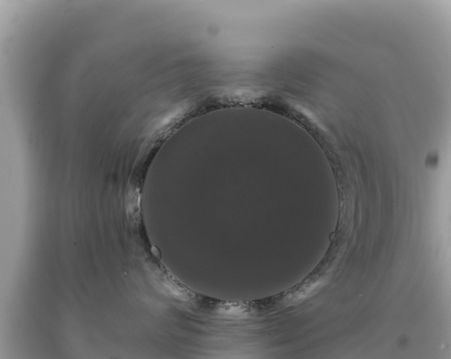 X0000093740624200710231212