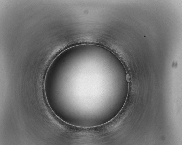 X0000093740625200710231212