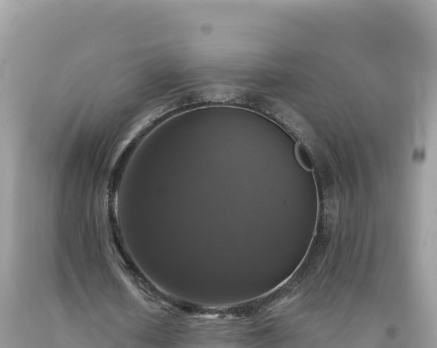 X0000093740626200710231212