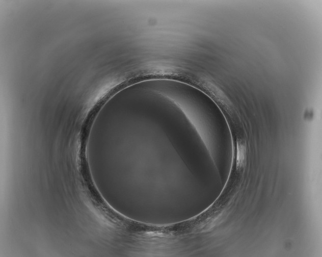 X0000093740627200710231212
