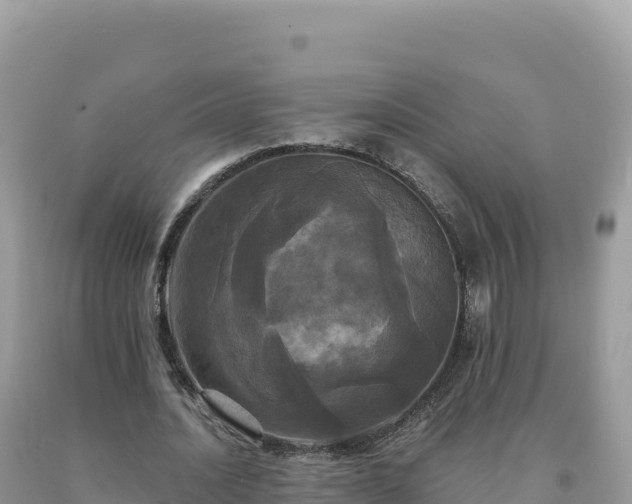 X0000093740628200710231212