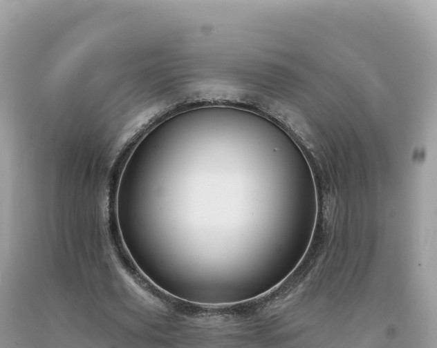 X0000093740629200710231212