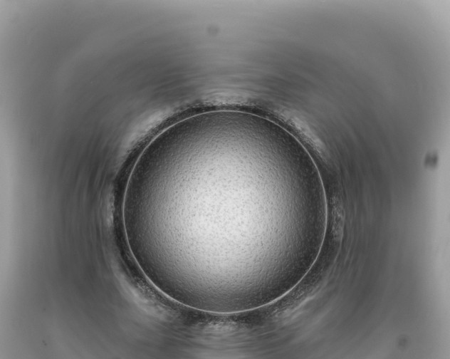 X0000093740631200710231212