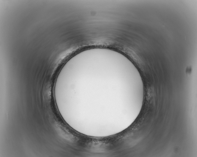 X0000093740632200710231212