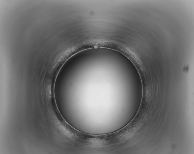 X0000093740633200710231212