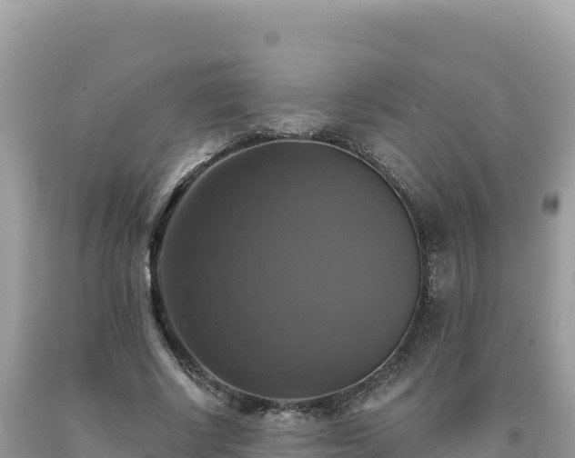 X0000093740634200710231212
